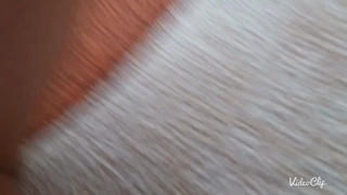 Тихий секс жены под её любимый сериал